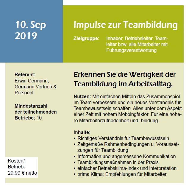 Webinar Impulse zur Teambildung