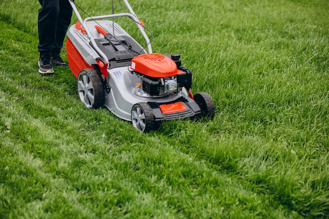 How often should I have my garden maintained?